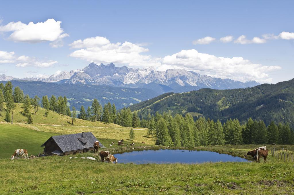 Bauernhofurlaub Sinnhubgut อัลเทนมาร์คท์ อิม พองเงา ภายนอก รูปภาพ