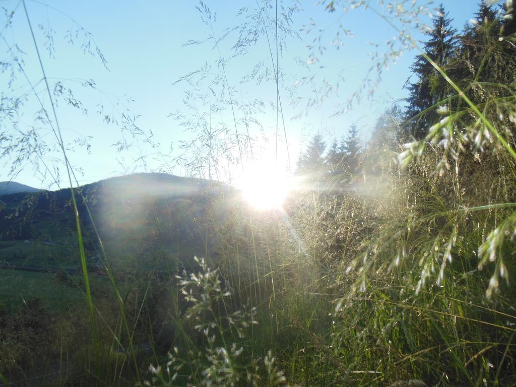 Bauernhofurlaub Sinnhubgut อัลเทนมาร์คท์ อิม พองเงา ภายนอก รูปภาพ